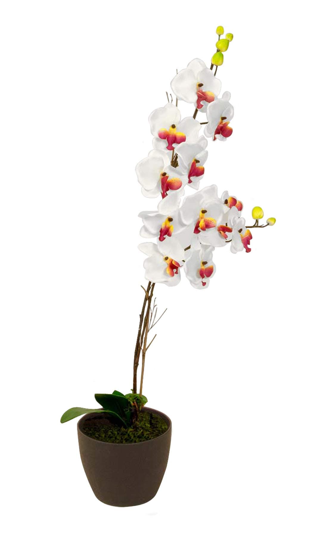 Elementals Moth Orchid Artificial Plant