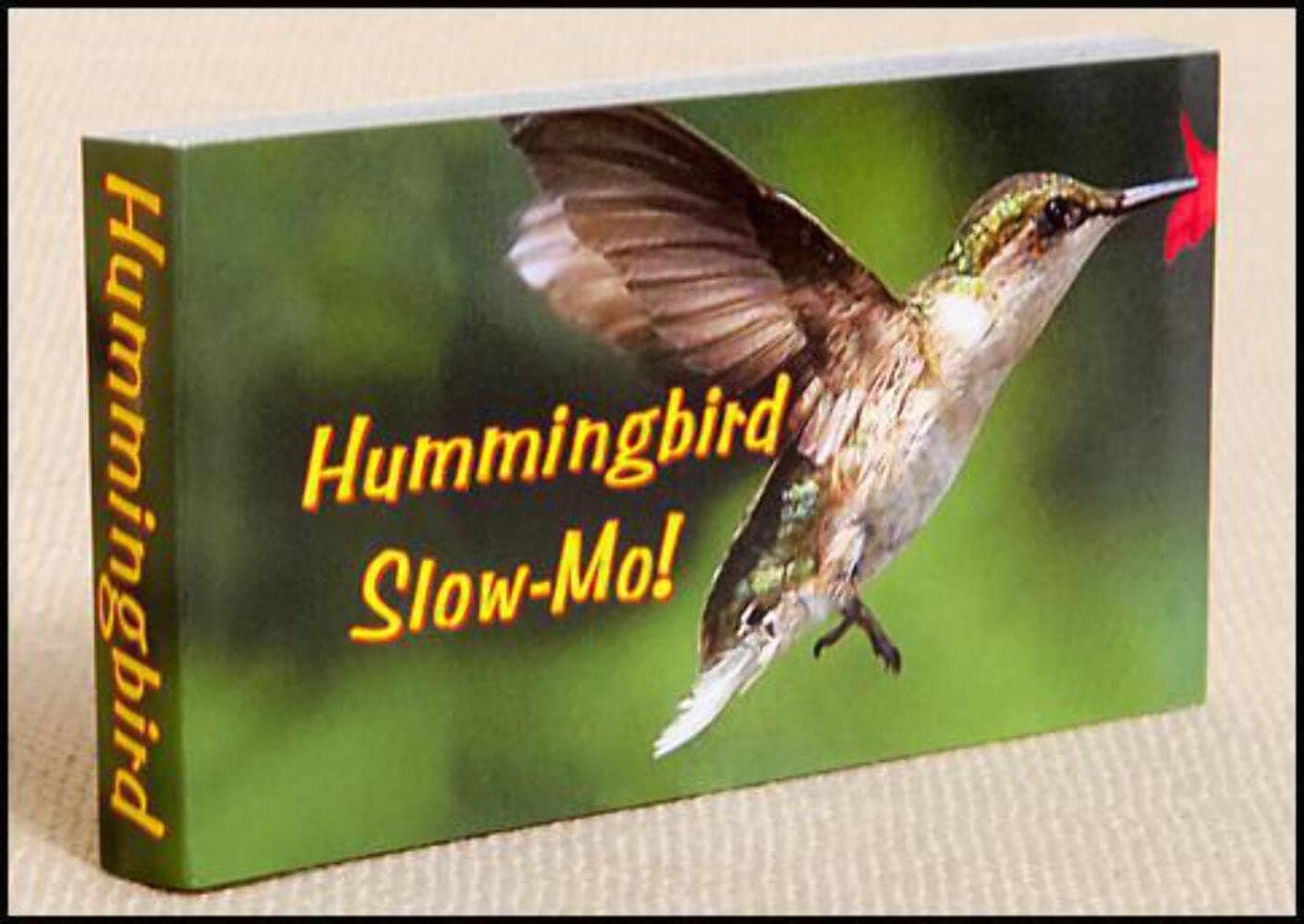 Fliptomania Hummingbird Flipbook