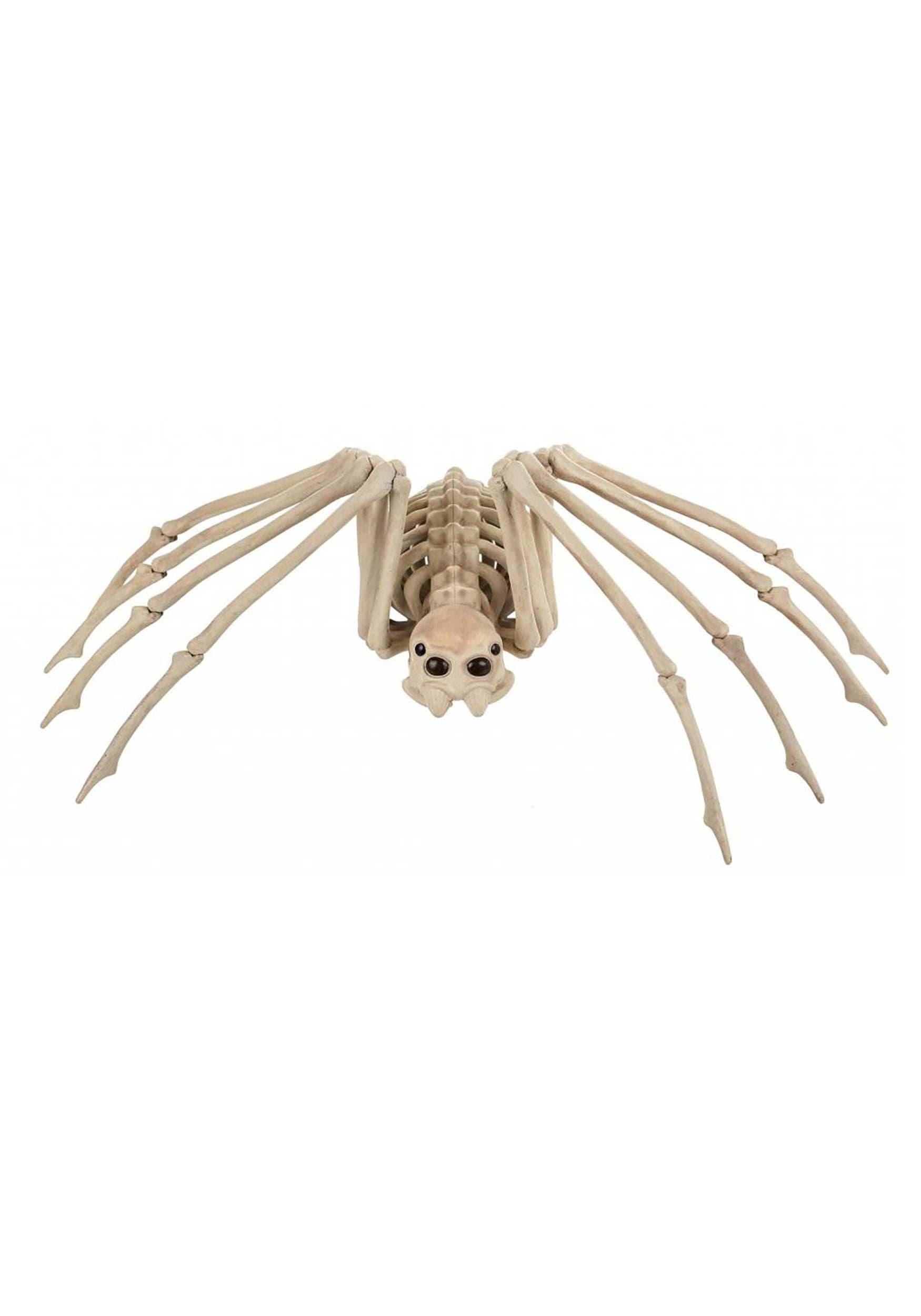 Skeleton Spider Halloween Decoration, 20.5 x 12 Inch Bendable Legs, Durable All-Weather Plastic Spooky Prop for Indoor or Outdoor Displays