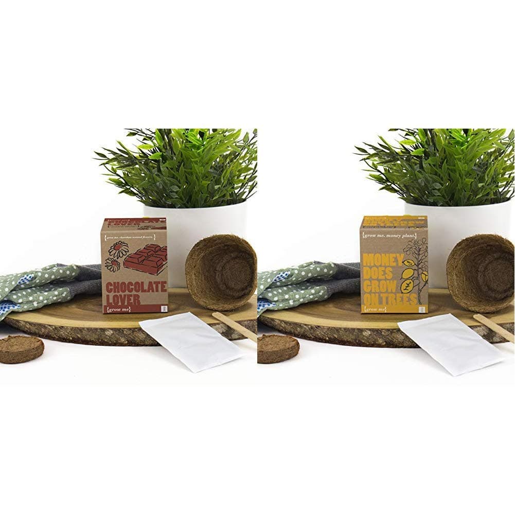 Gift Republic Chocolate Lover Grow Me