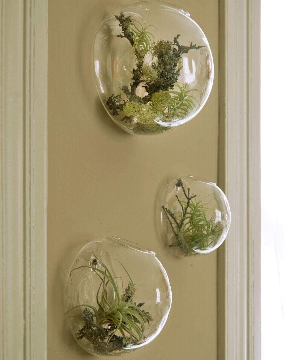 Set of 3 Wall Hanging Glass Bubble Terrariums Indoor Plants Planters Wall Mounted Glass Vase Mini Aquarium Air Plant Holder Wall Decor(Mixed size)