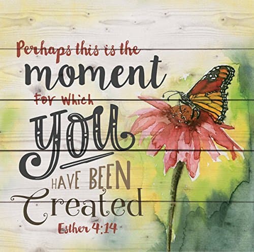 Leiacikl Perhaps This is The Moment Esther 4:14 Butterfly Pink 17.5 x 17 inch Wood Plank Wall Sign