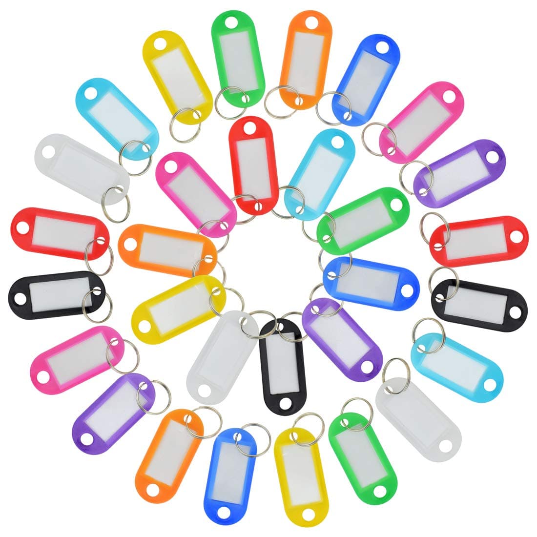 Yolyoo 100 Pack Tough Plastic Key Tags with Label Window 10 Colors