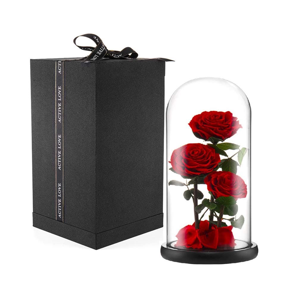 Eterfield Preserved Real Rose Handmade Eternal Rose in Glass Doom Gift for Her Valentine's Day Mother's Day Anniversary Birthday (Large, 3 Red Roses)