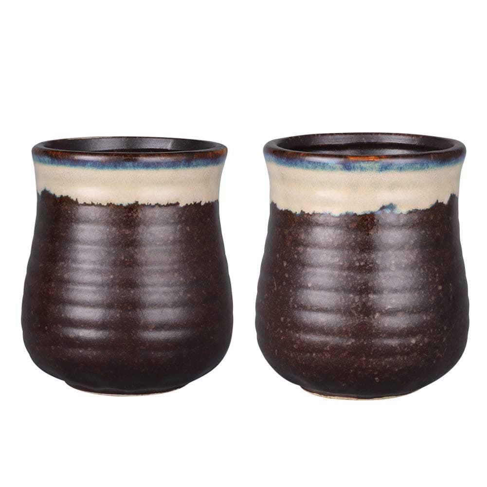 Sunddo Japanese Tea Cups Ceramic Teacup Mug Set of 2 12oz