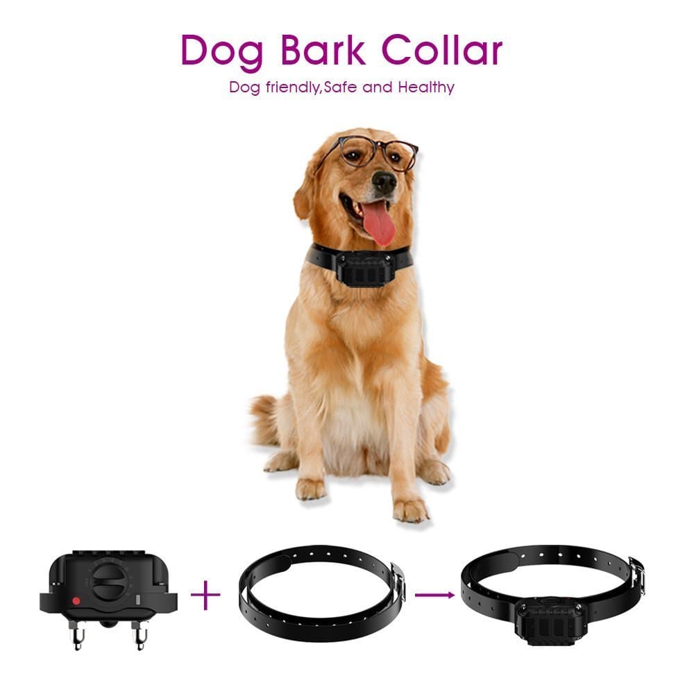 Anti Barking Collar Petfere Dog Training Collar Rechargeable and Rainproof With 7 Sensitivity Adjustable Levels