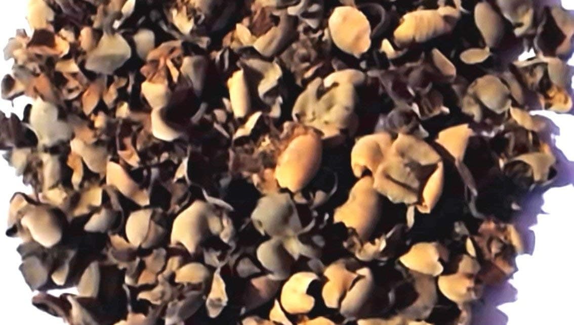 Nagkesar - Nageshwar - Mesua Ferrea Fruit -200g