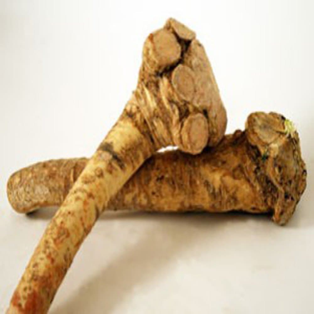 Horseradish Roots Natural, 1/2 pound/8 ounces,(USA Only,Can Not be shipped internationally) Ready For Planting or Preparing As Sauces or Dressings etc. JACOBS LADDER