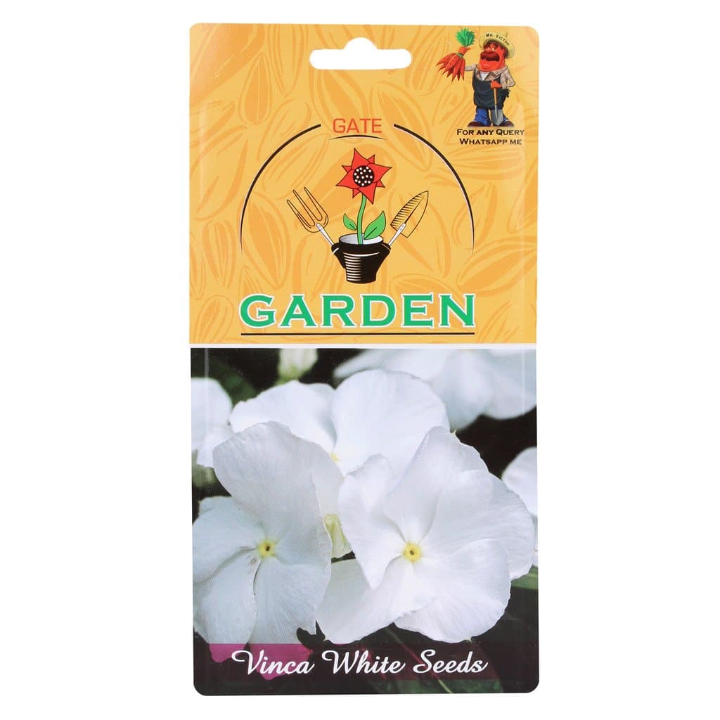 Gate Garden GTGDN26 Vinca Flower Seeds (White, 1 Pack x 15 Seed)