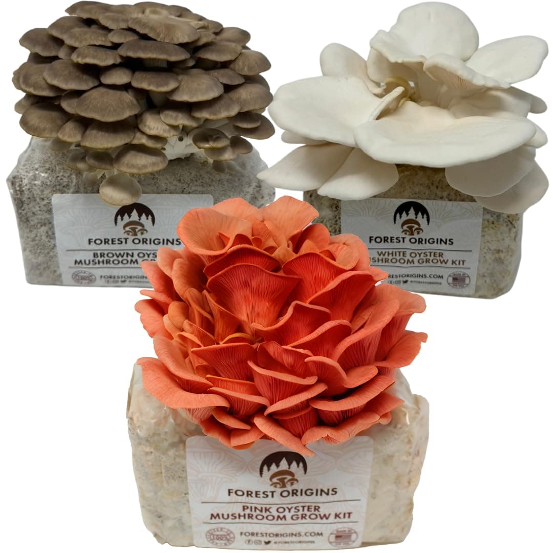 Forest Origins Specialty Trio Oyster Mushroom Grow Kit 3-Pack Variety - Beginner Friendly & Easy to Use, Grows in 10 Days | Handmade in California, USA | Top Gardening Gift, Holiday Gift & Unique Gift