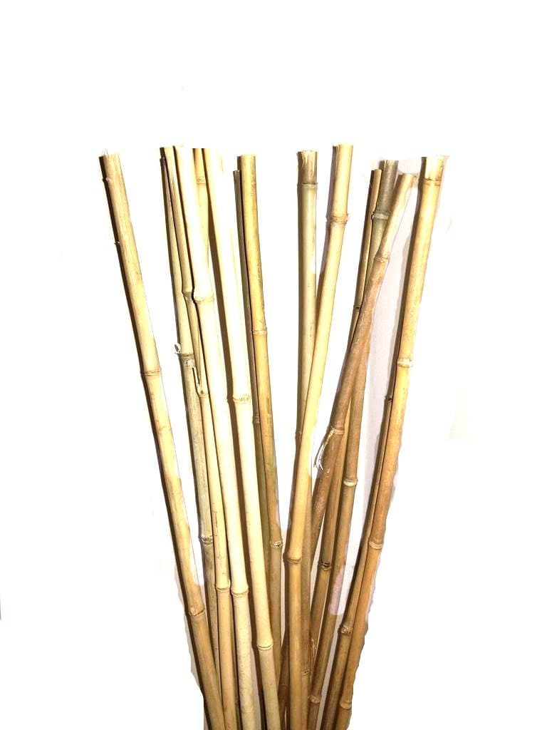 Empire Home Natural Thick Bamboo Stakes 5 Feet Tall About Half Inch Diameter - Pack of 8 (Natural Yellow)