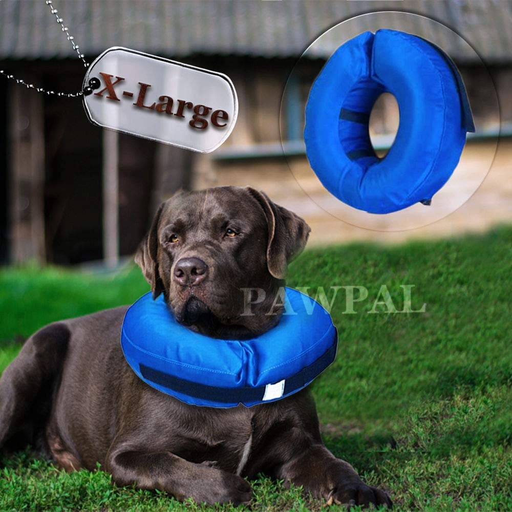 Recovery Waterproof Collar Pillow for Dogs and Cats Comfy Cone Soft Inflatable Donut Collar (X-Large - Inflatable Collar)