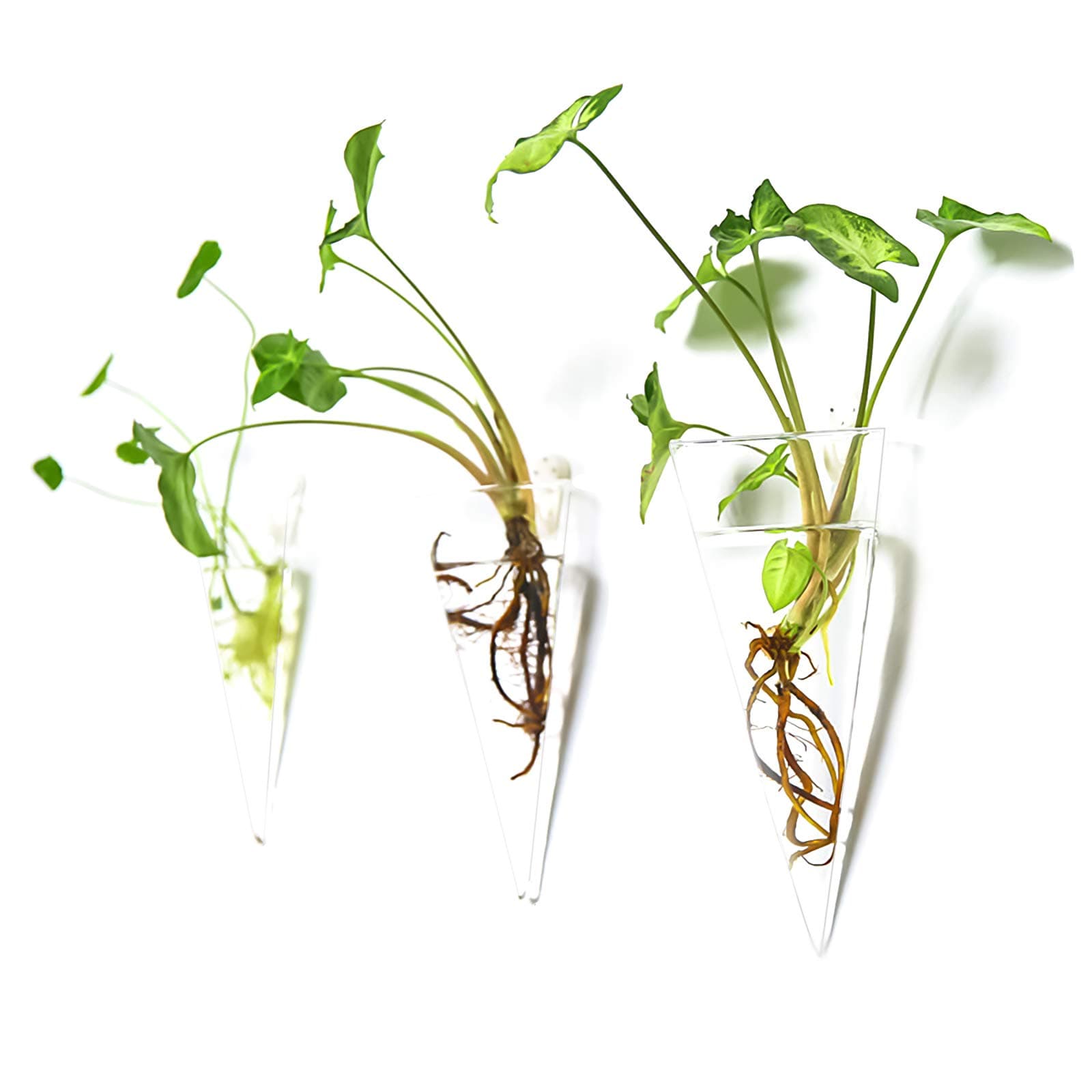 Kingbuy Levitating Glass Planter for Succulents & Hydroponic Plants - 2 Pack Cone-Shaped Wall Vases Floating Terrarium Planters with Wall Mount for Indoor Home Office Kitchen Decor (Medium)