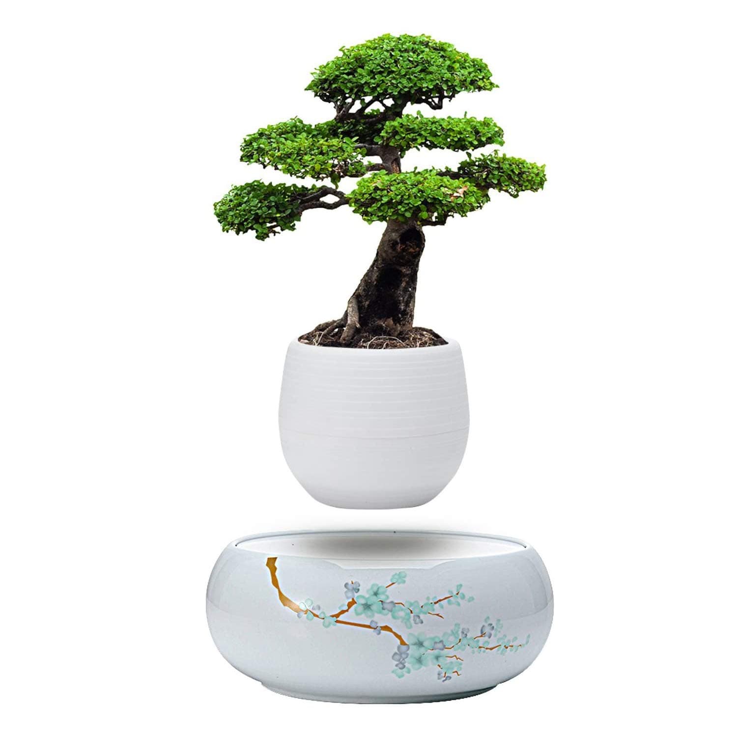 Active Gear Guy Levitating Mini Plant Pot with Japanese Style Design for Flowers Or Bonsai. Magnetic Levitation Creates A Beautiful Floating Display. Does NOT Come with a Plant.