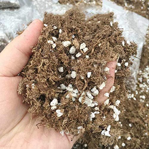 Carnivorous Plant Potting Soil Mix Peat Moss & Perlite (3 Cups)