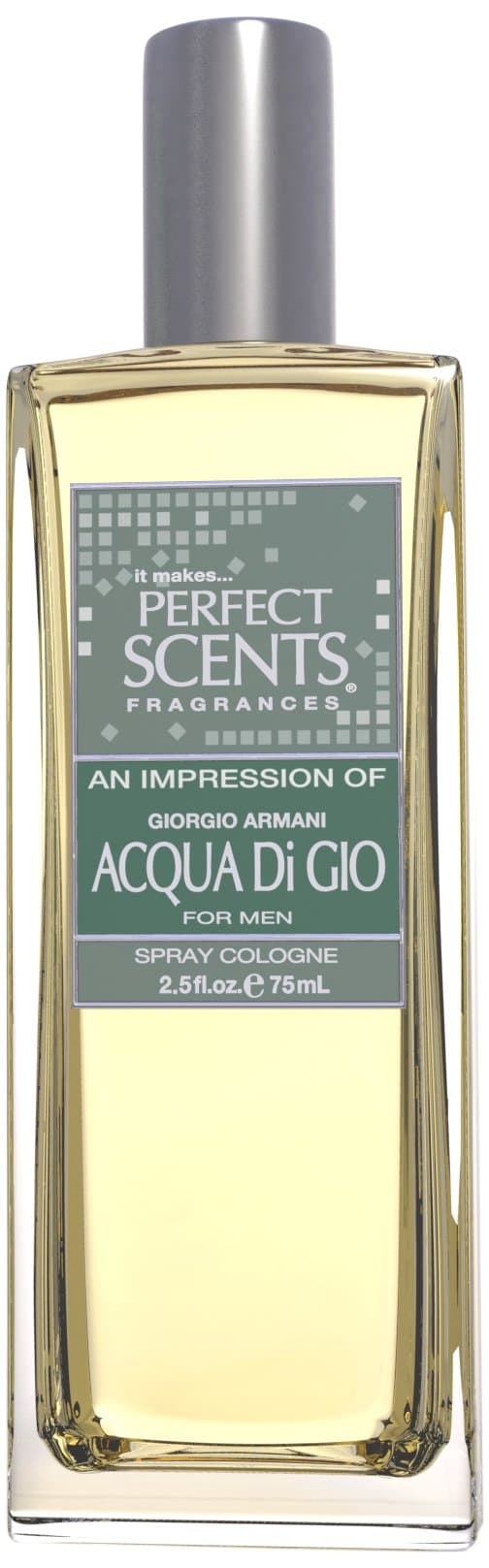 Instyle Fragrances Perfect Scents Men's Cologne, Impression of Acqua Di Gio, 2.5 Fluid Ounce