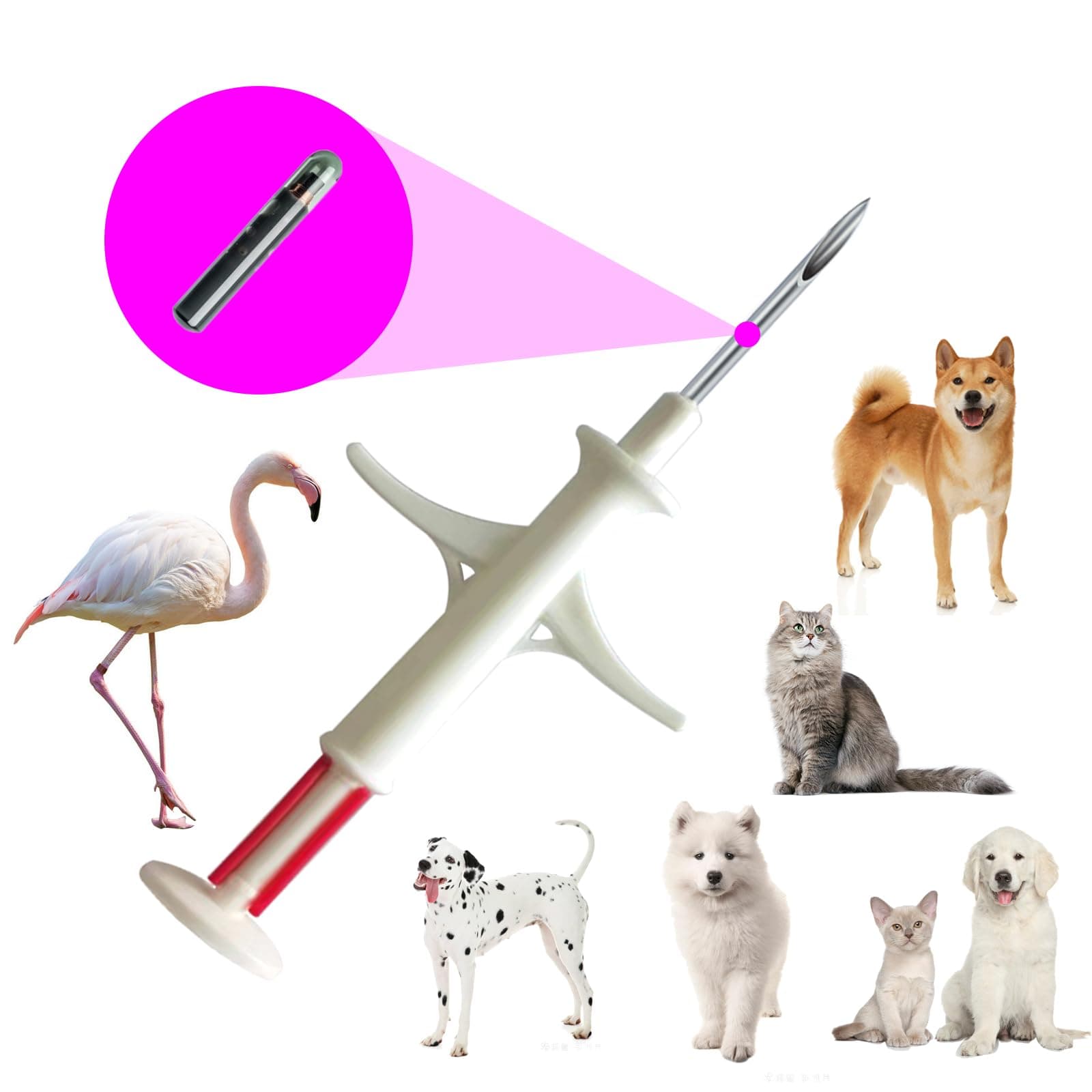 Pet Microchip Kit for Dogs and Cats 5 Pack ISO 11784/5 with 15 ID Numbers (1.4 mm Dia, 8 mm Length Microchip, 15 Gauge)