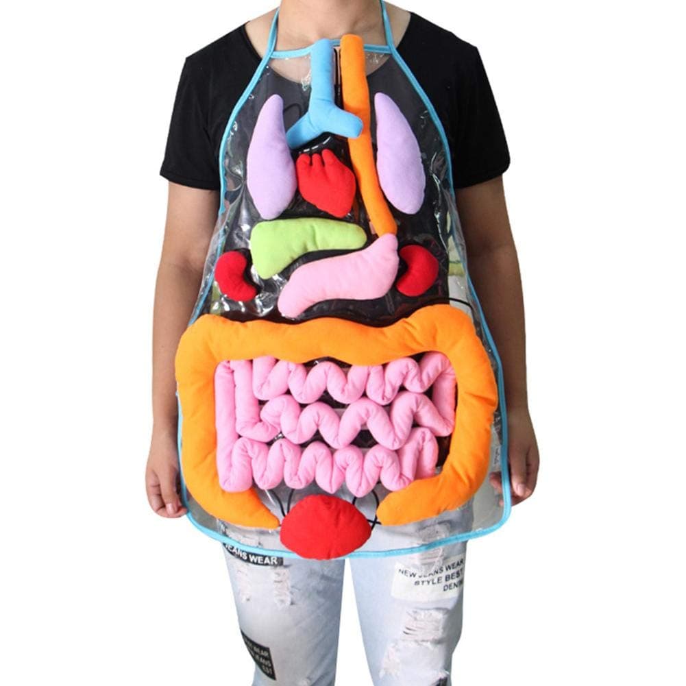 SUPERLOVE Anatomy Apron Human Body Organs Awareness Educational Insights Toys for Children Preschool Science Homeschool Teaching Aids
