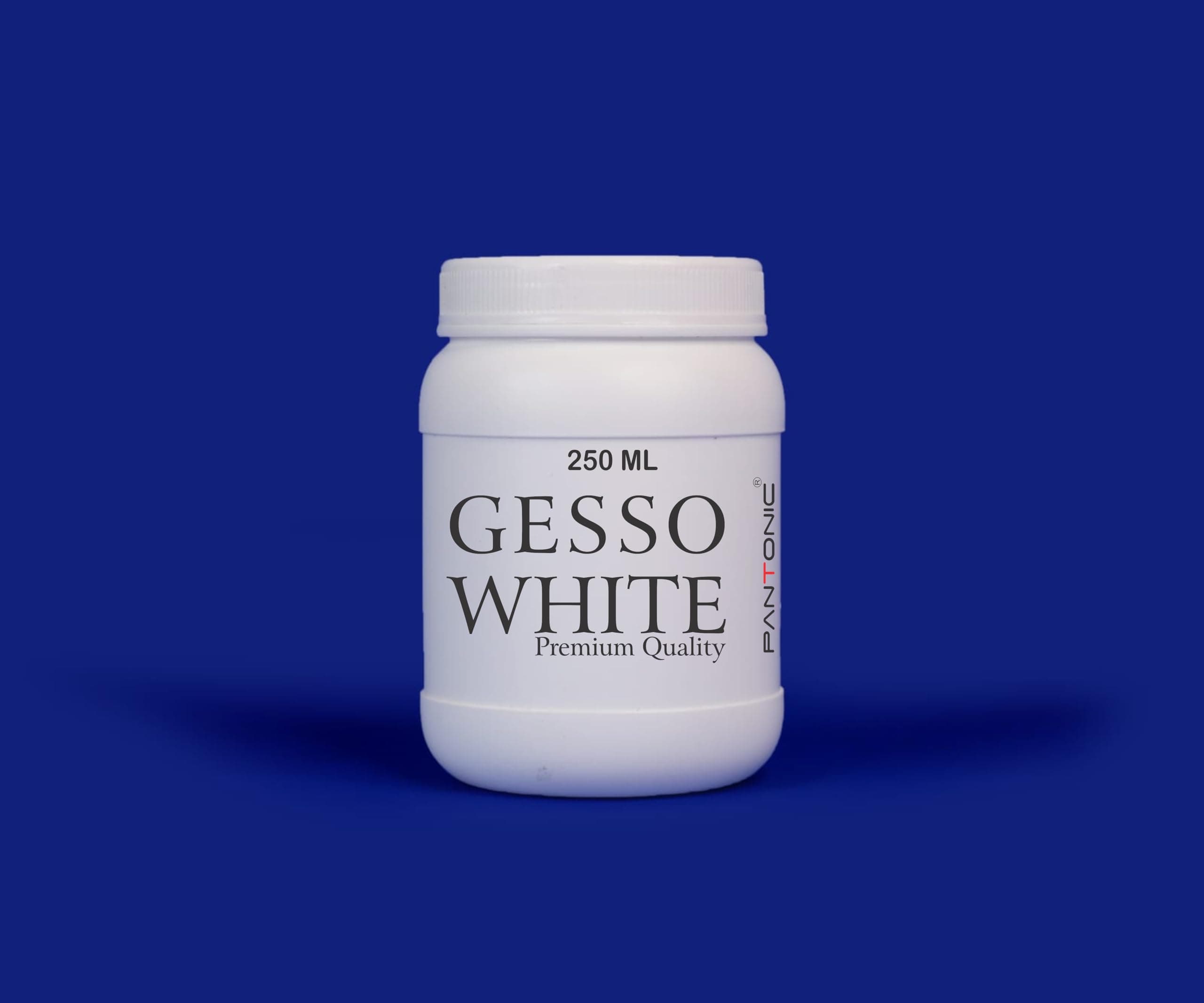 Variety Canvas Pantonic for Acrylic Painting, Oil Painting Universal Gesso Primer (250ml, White Gesso)