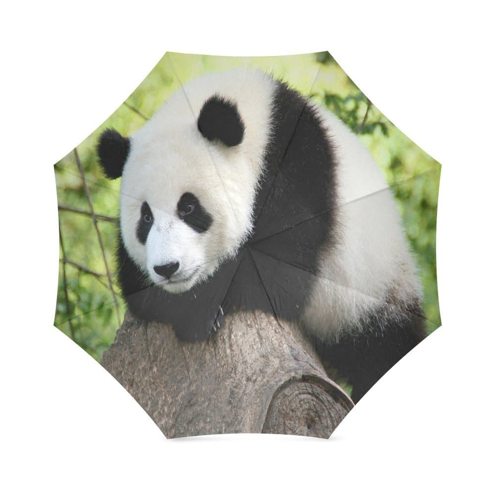 Lovers/Wife/Husband Gifts Presents Cute Panda With Bamboo Drawing Pattern 100% Fabric And Aluminium Foldable Umbrella
