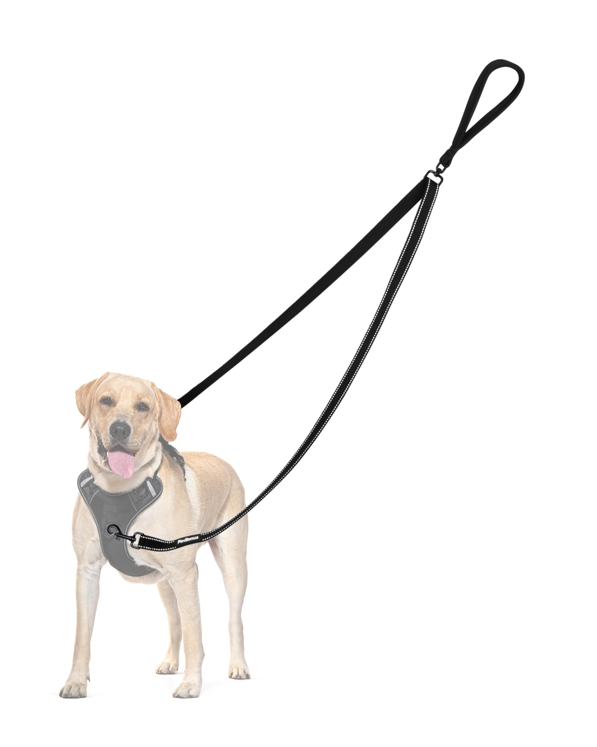 Two Point Control Dog Lead, Works with No Pull Harnesses, No Tangle Training Leads, Soft Padded and Reflective Walking Lead, Converts to Single Lead for Medium Large Dogs (Black)