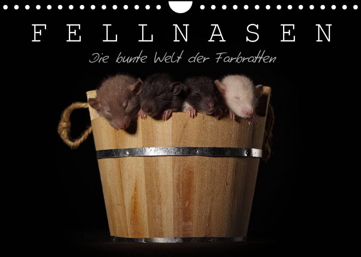 Furry Noses. The Colourful World of The Coloured Rats. (Wall Calendar 2022 DIN A4)