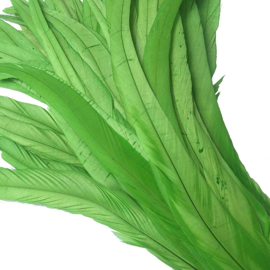 Shekyeon 12-14inch Rooster Tail Feather Used Hats Costume Decoration Pack of 50