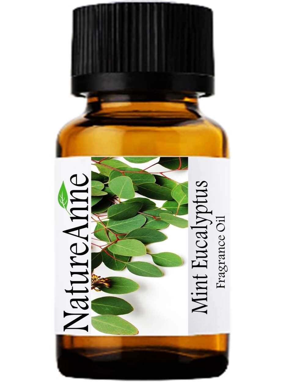 Premium Grade Fragrance Oil - 10ml - Scented Oil - for Diffuser Oils, Making Soap, Candles, Lotion, Home Scents, Linen Spray, Lotion, Perfume, Beard Oil (Mint Eucalyptus, 10ml)