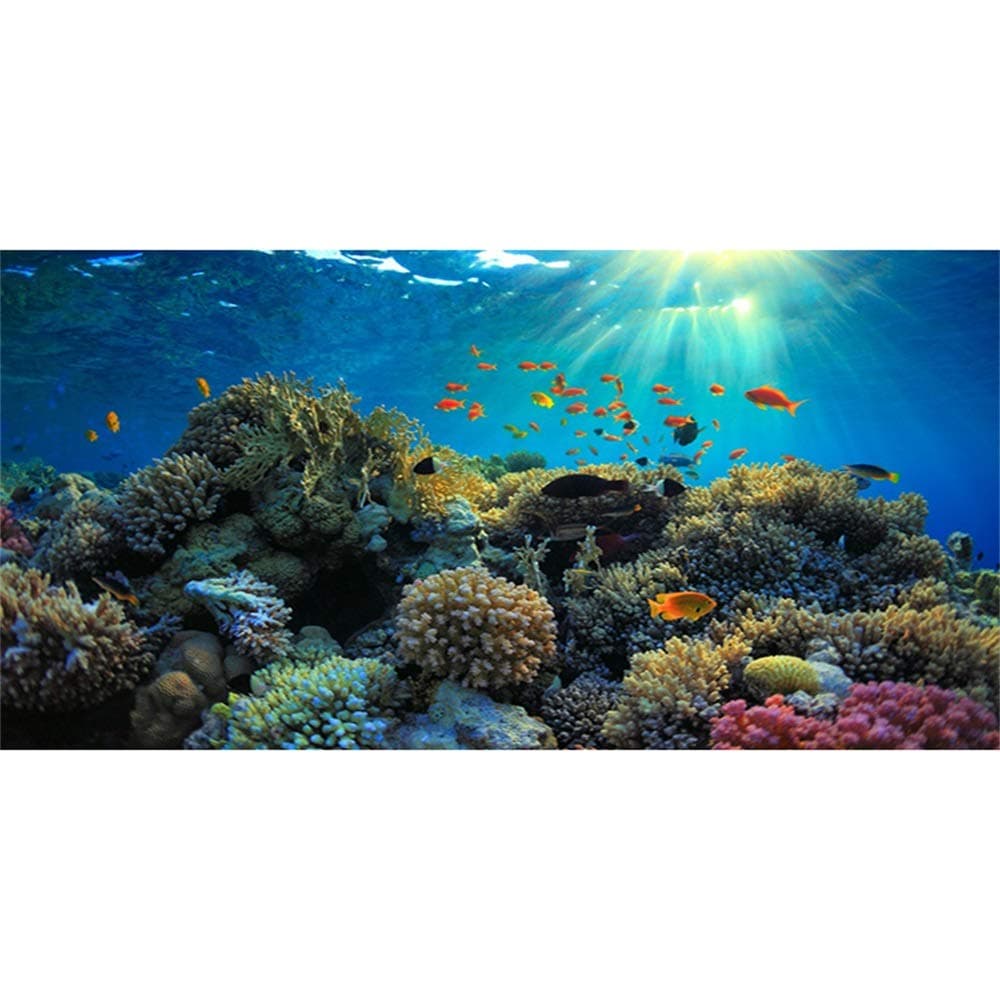 AWERT 91x50cm Durable Vinyl Aquarium Background Coral Tropical Fish Underwater World Fish Tank Background (Not Sticker)