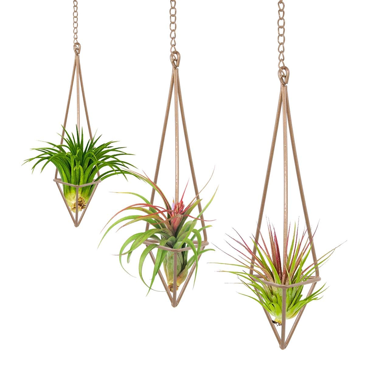 Redify LFS Geometric Hanging Planter Himmeli Ornament Air Plant Tillandsia Holder 3 PCS