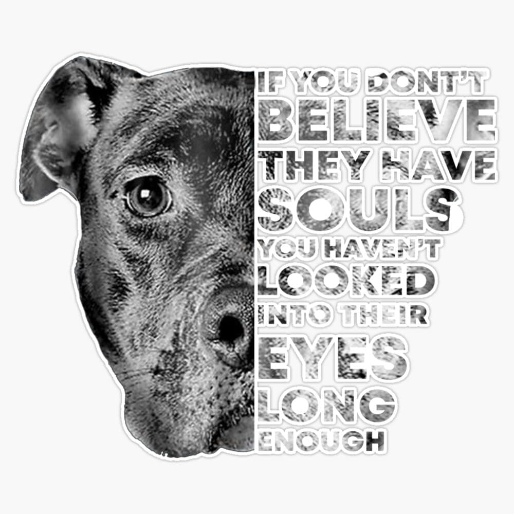 Pitbull Soul Dog Lovers Gift Sticker Bumper Sticker Vinyl Decal 5"