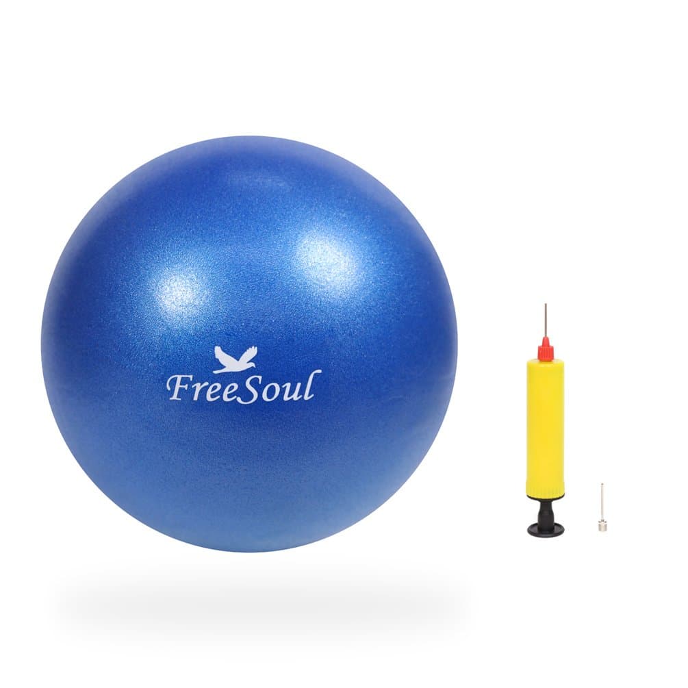 Small Pilates Ball with Pump 9 Inch Mini Bender Ball for Stability Pilates Yoga Barre Physical Therapy Core Training
