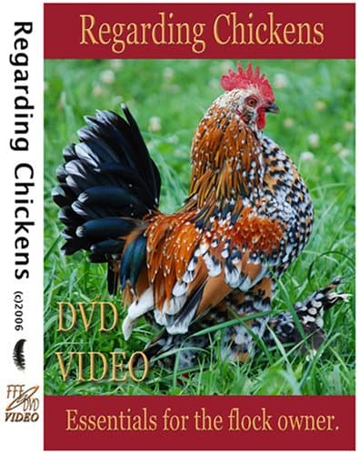 Regarding Chickens, DVD Video Guide, Incubation, Hatching, Brooding & Caring for Chickens of All Breeds. Chicken Video
