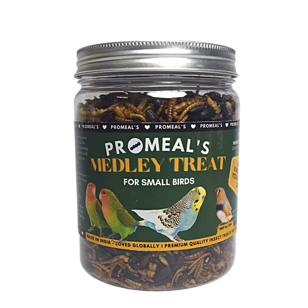 Medley Flake Insect Mix for Small Birds - Protein Rich Dried Insects Treat for Parakeets, Finches, Lovebirds & Canaries (100gm)