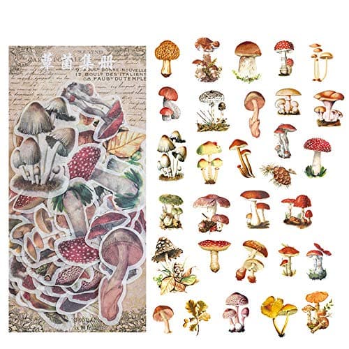 VANGOAL 60PCS Ephemera Pack, Elegant Note Stickers Easy Self-Adhesive Flowers Roses Garden Wildflowers Butterflies for Scrapbook, Notebook, Journal, Card Making, Letters (Mushroom Garden)