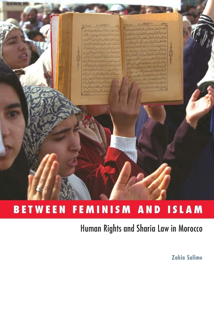 Between Feminism and Islam: Human Rights and Sharia Law in Morocco (Social Movements, Protest and Contention)