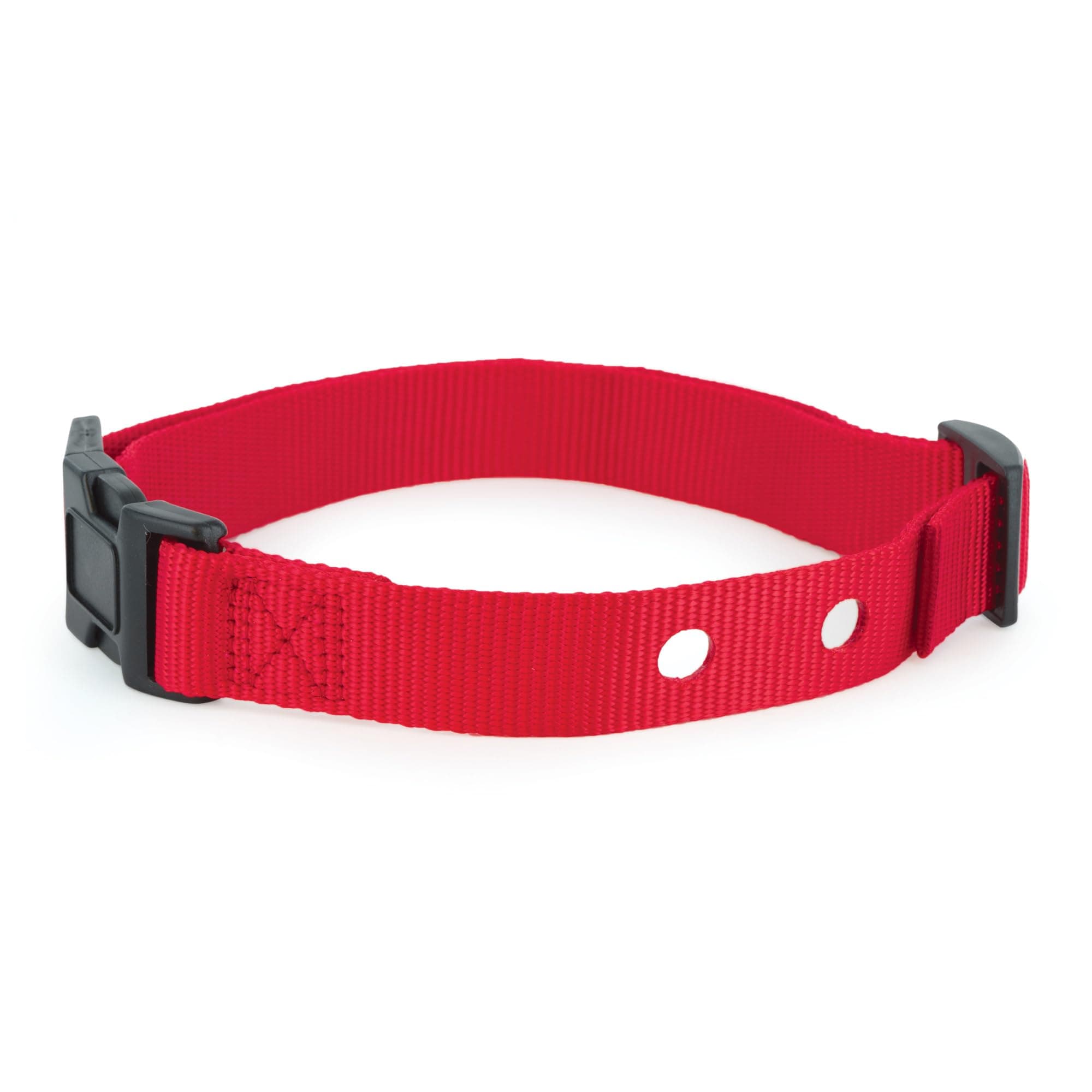 PetSafe Replacement Collar Strap with 2 Holes - Adjustable Design for In-Ground & Wireless Fence Collars - Lightweight Polyester - Secure, Comfortable Fit