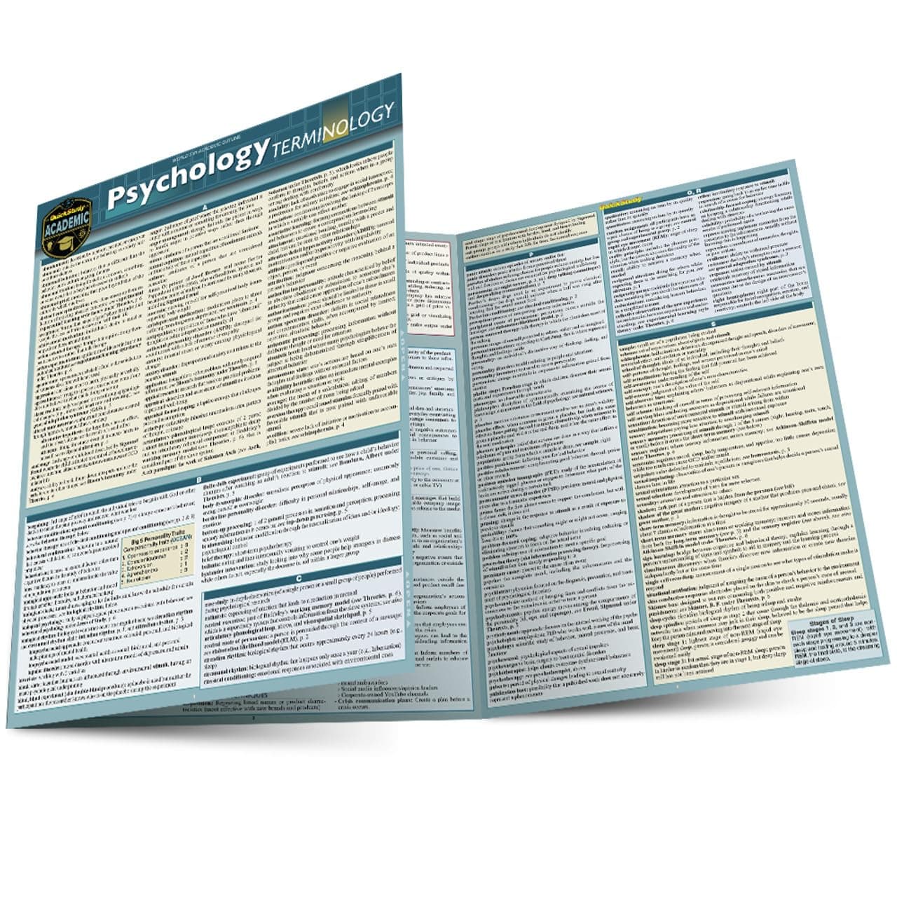 Psychology Terminology: a QuickStudy Laminated Reference Guide (Quickstudy Reference Guide)