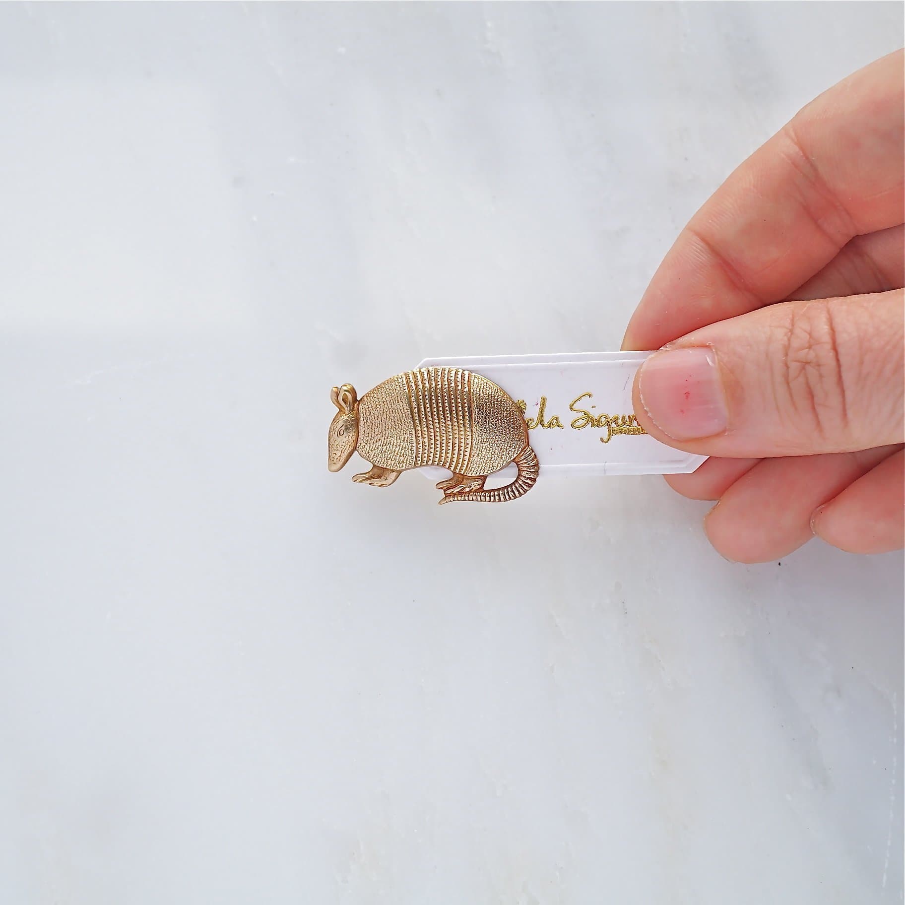 Armadillo brooch, cute unusual animal pin,friendship gift,lapel pin