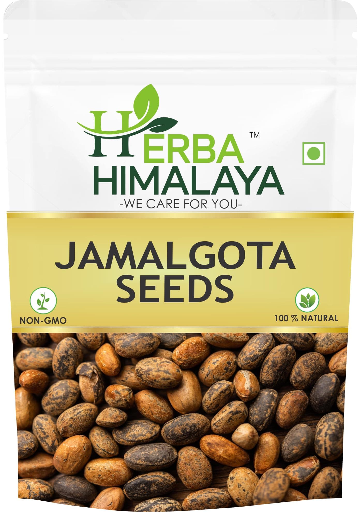 Herba Himalaya Jamalgota Seeds For Hair - 100gm, Croton Seed | Croton Tiglium Seed | Jamalghota Seed | Jamalgota Beej | Jamalghota Beej | Jamal gota Seeds | Make Paste (100 gm)