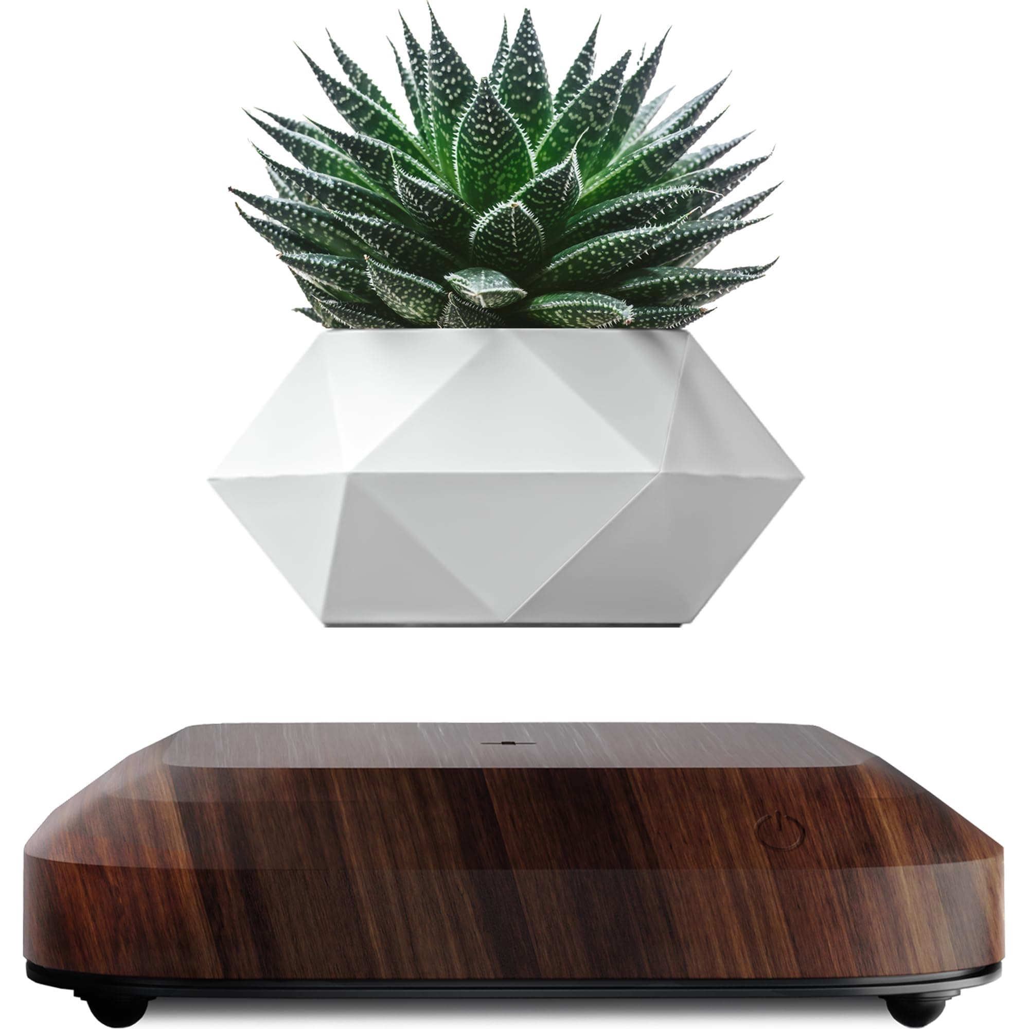 LEVINA Authentic Levitating Floating Plant Pot for Air Plants - Magnetic Rotating Planter for Bonsai - Levitation Plant Pot