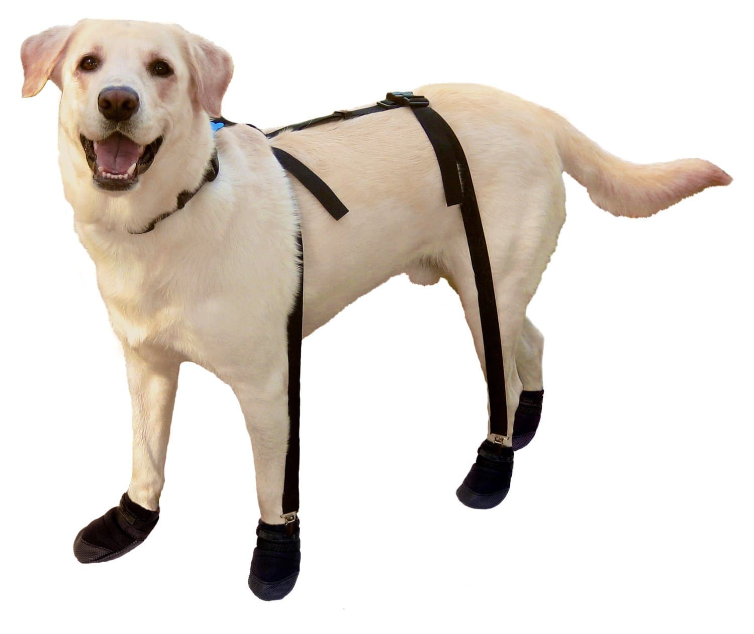 Canine Footwear Suspenders Snuggy Boots for Dog, Large, Black