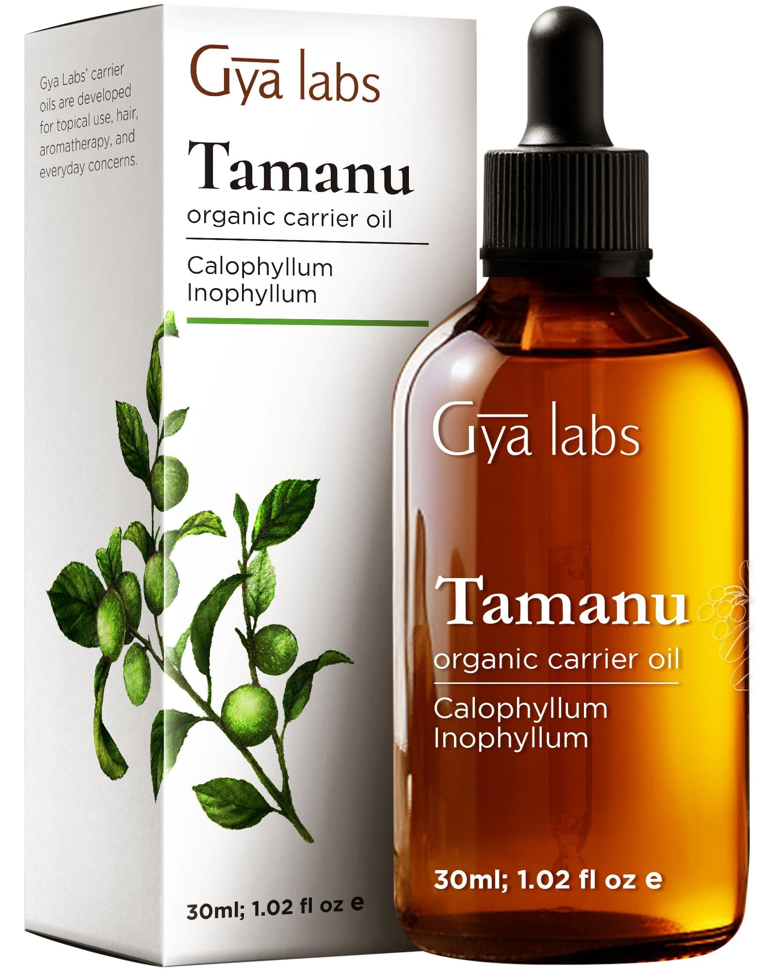 Gya Labs Organic Tamanu Oil For Skin & Face - 100% Pure Natural Unrefined Tamanu Carrier Oil for Hair - Soothing & Renewing (30ml)