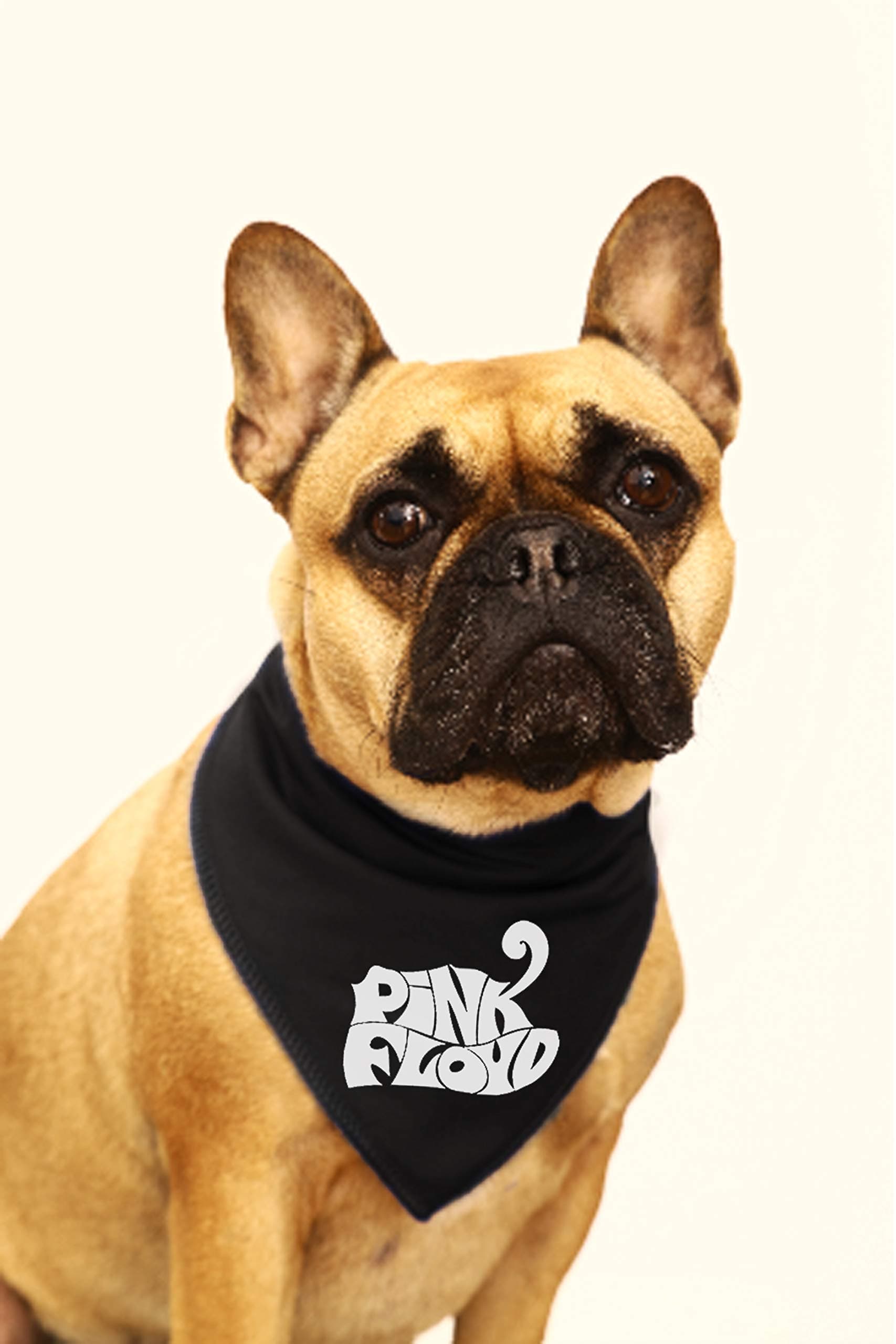 Spoilt Rotten Pets, S2 - Pink Floyd - Designer Dog Bandana For Music Fans Suitable For Shih-tzu, Westies, Terriers & Cockerpoo Sized Dogs
