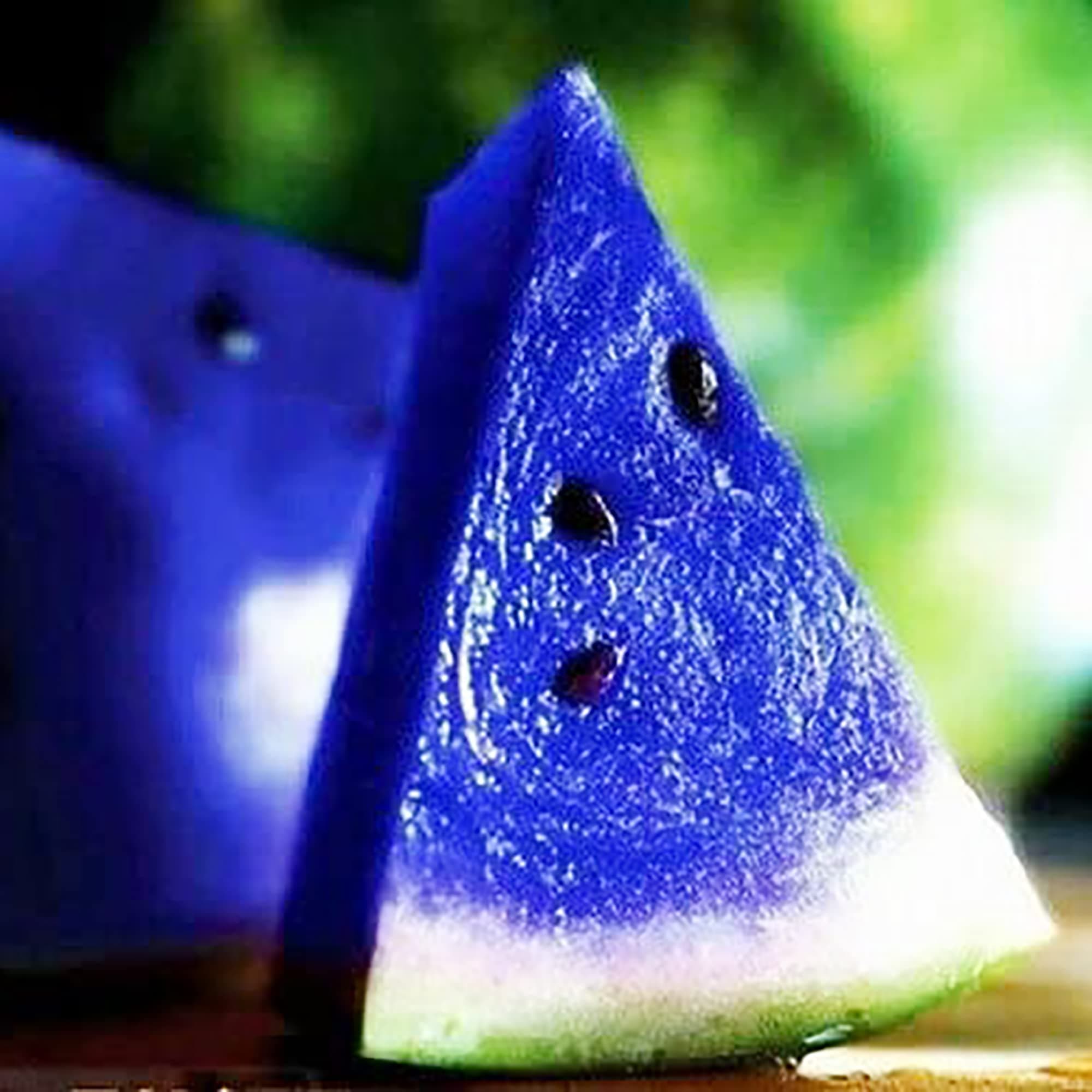 50 Rare Blue Watermelon Seeds for Planting, Sweet, Juicy, Organic Non-GMO Heirloom Fruit Seeds, Grow Your Own Delicious Fruit in Garden Outdoor