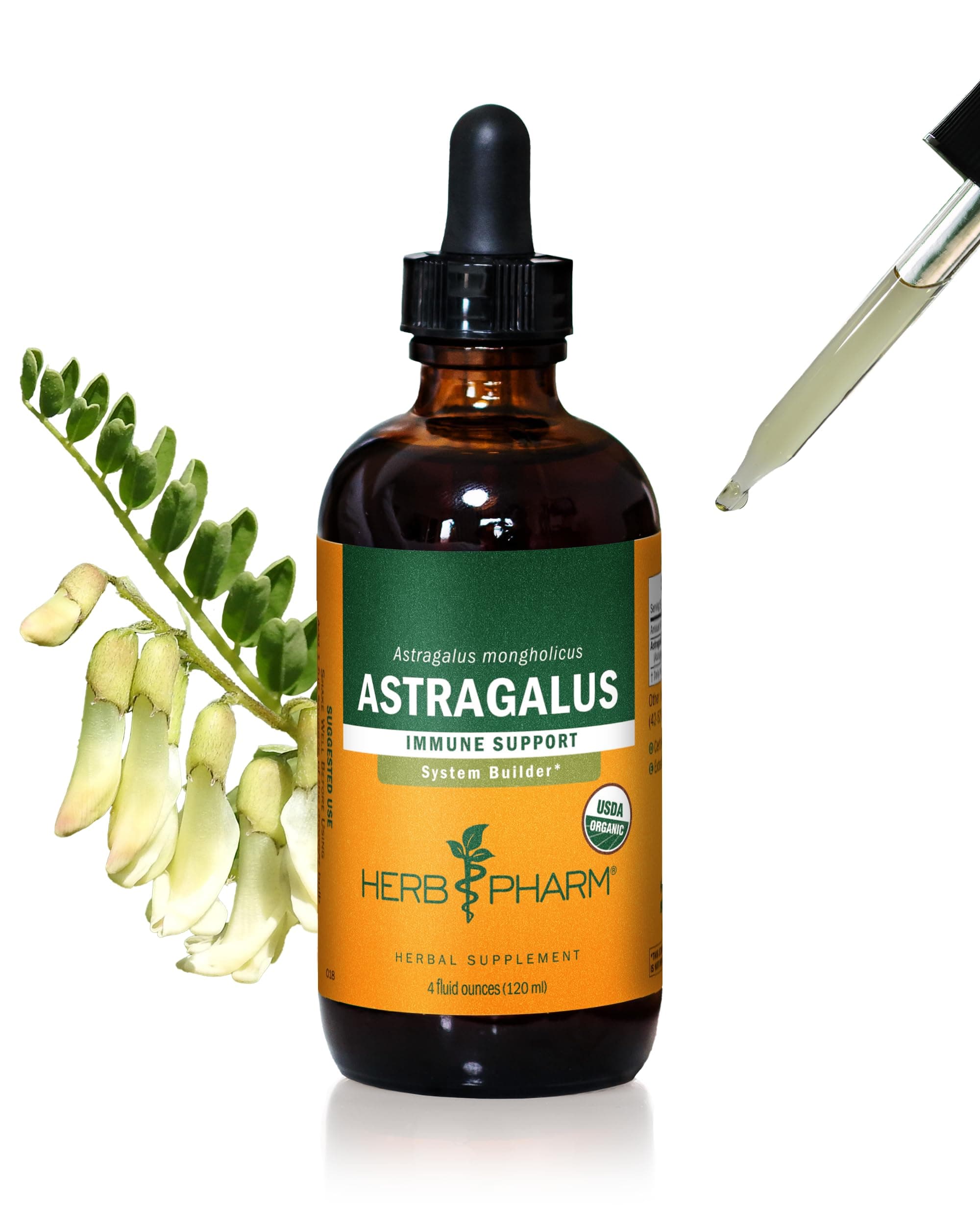 Herb Pharm Certified Organic Astragalus Liquid Extract for Immune System Support - 4 Ounce