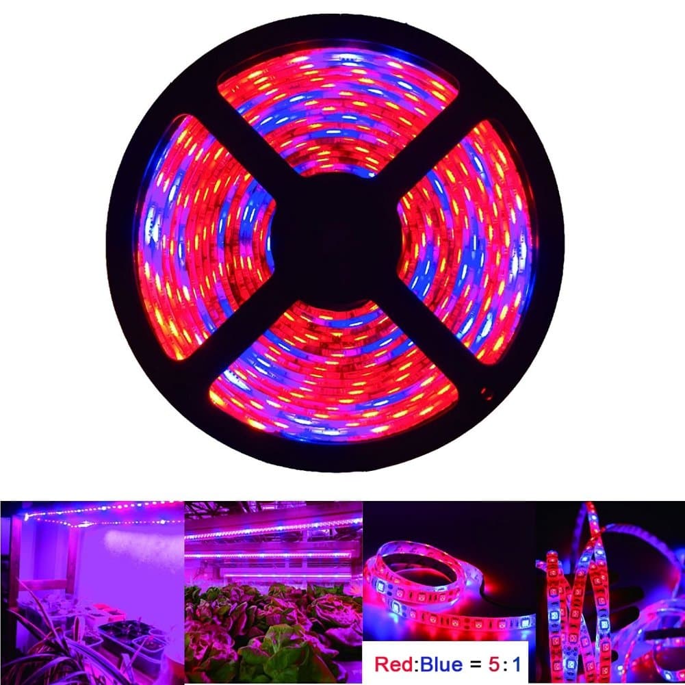 Plant Grow LED Light, OUEVA 16.4ft/5M 5050 SMD Waterproof Full Spectrum Red Blue 5:1 Growing Lamp for Aquarium Greenhouse Hydroponic Plant, Garden Flowers Veg Grow Light
