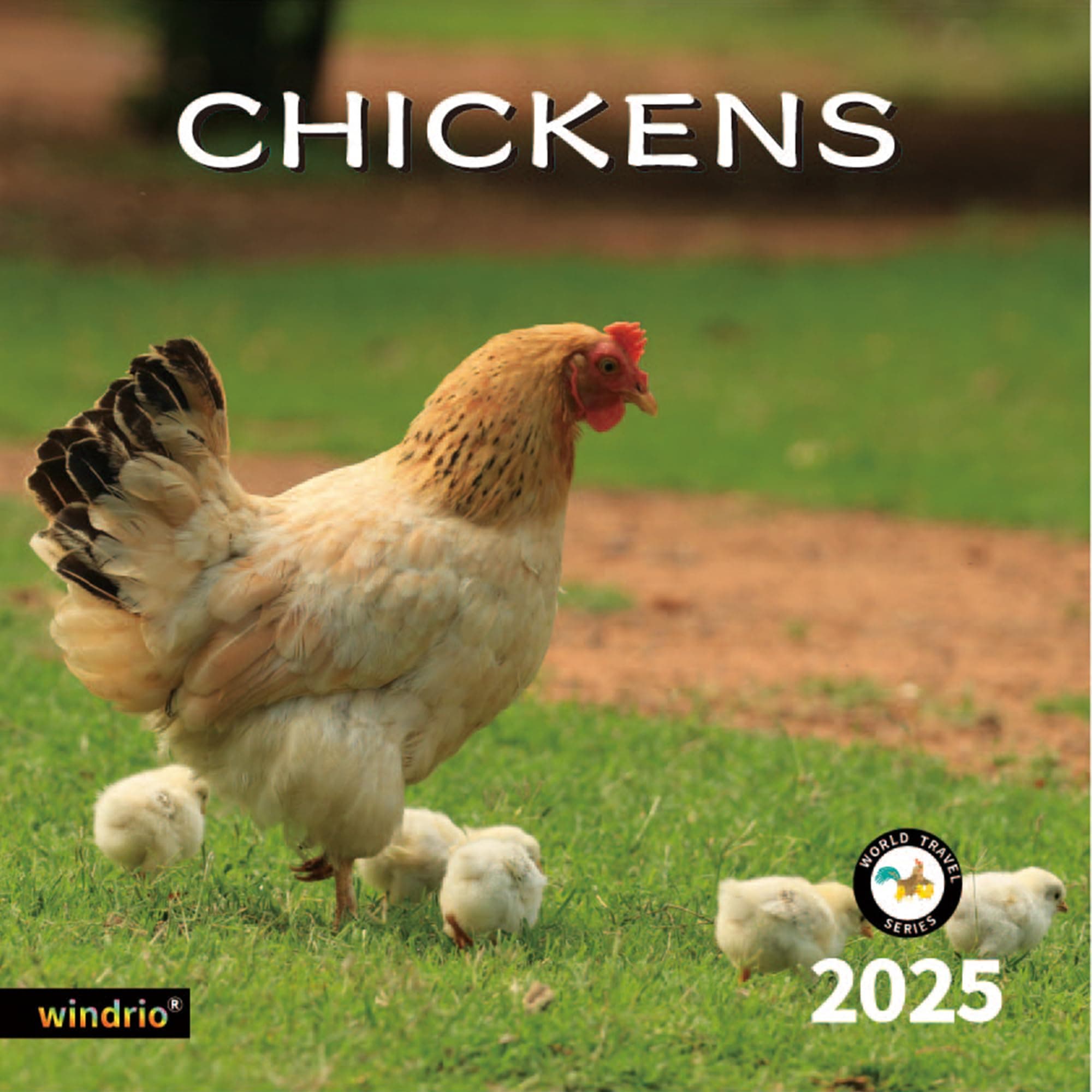 2025 Wall Calendar,Calendar 2025, January 2025 - December 2025, Wall Calendar Chickens, 12" x 24" Opened,Full Page Months Thick & Sturdy Paper for Organizing & Planning