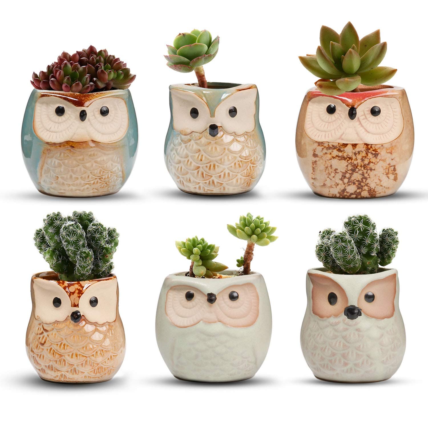 6CM Ceramic Succulent Planter Pots Mini Size Set of 6, Small Flower Plant Pots with Drainage Hole, Cute Owl Pots for Home Office Decoration, Desktop Windowsill Owl Gift for Gardener for Birthday