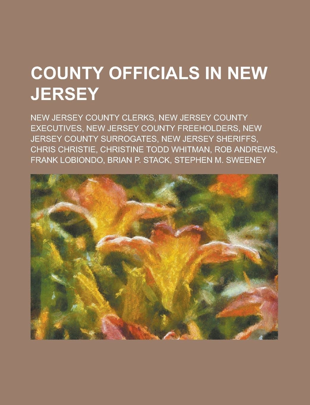 County Officials in New Jersey: New Jersey County Clerks, New Jersey County Executives, New Jersey County Freeholders